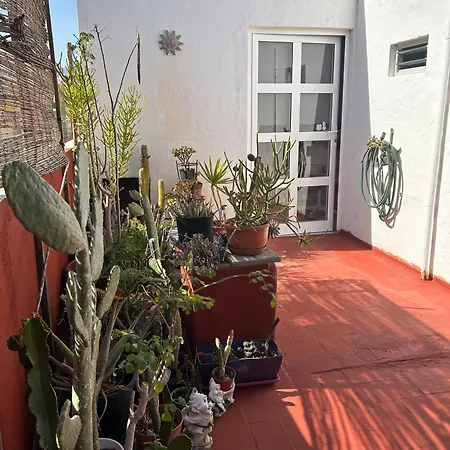 Atico Sol Vecindario Vecindario (Gran Canaria)